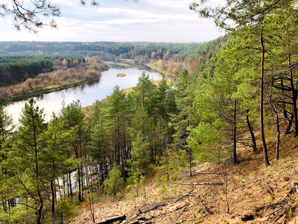Paneriškių regykla #3