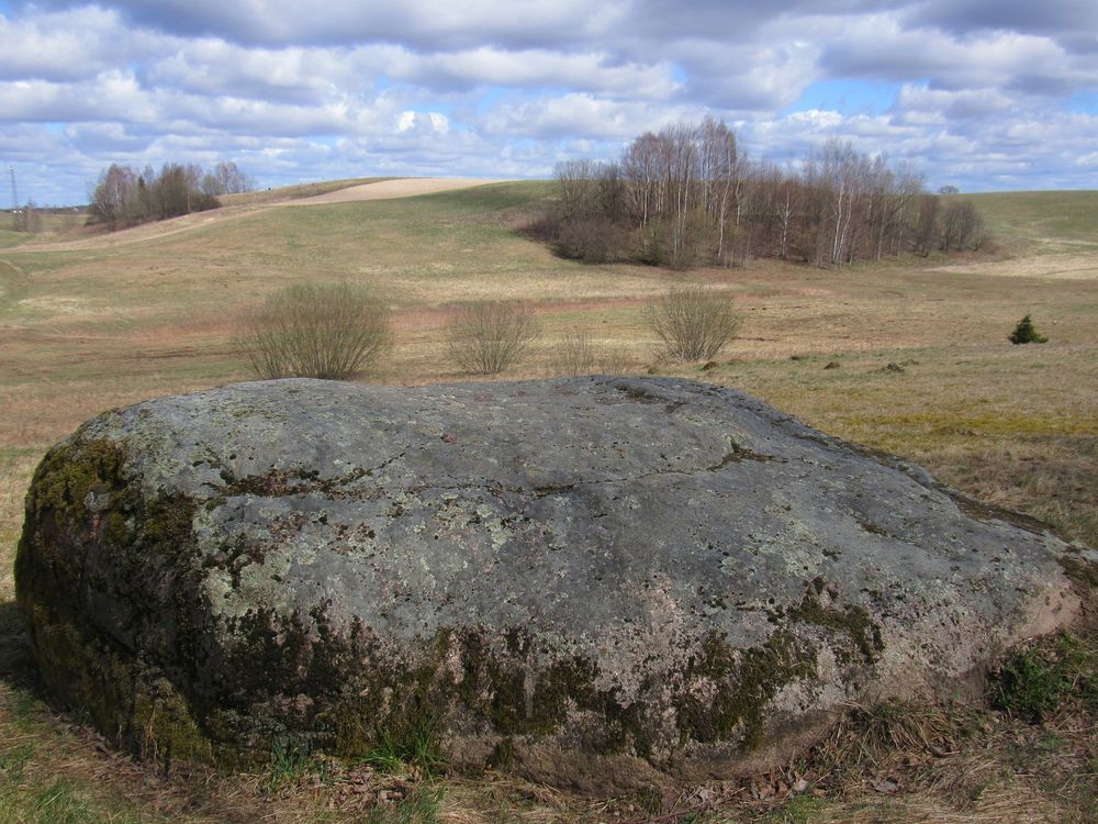 Liepijų pėsčiųjų trasa #5