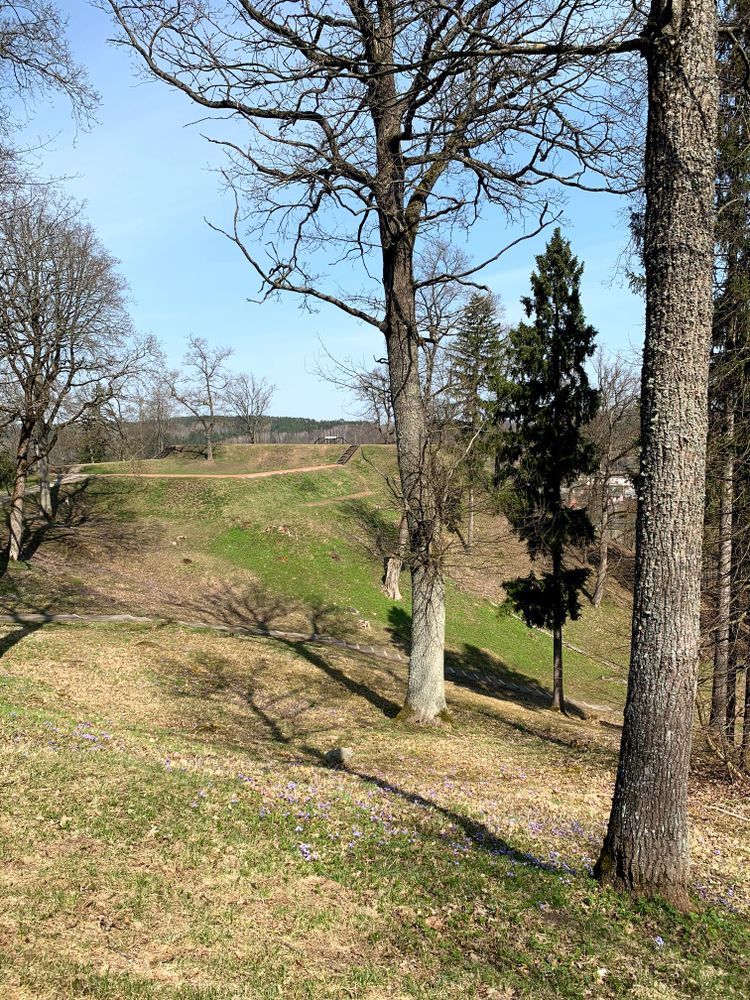 Strielčiukų žygtakis #4