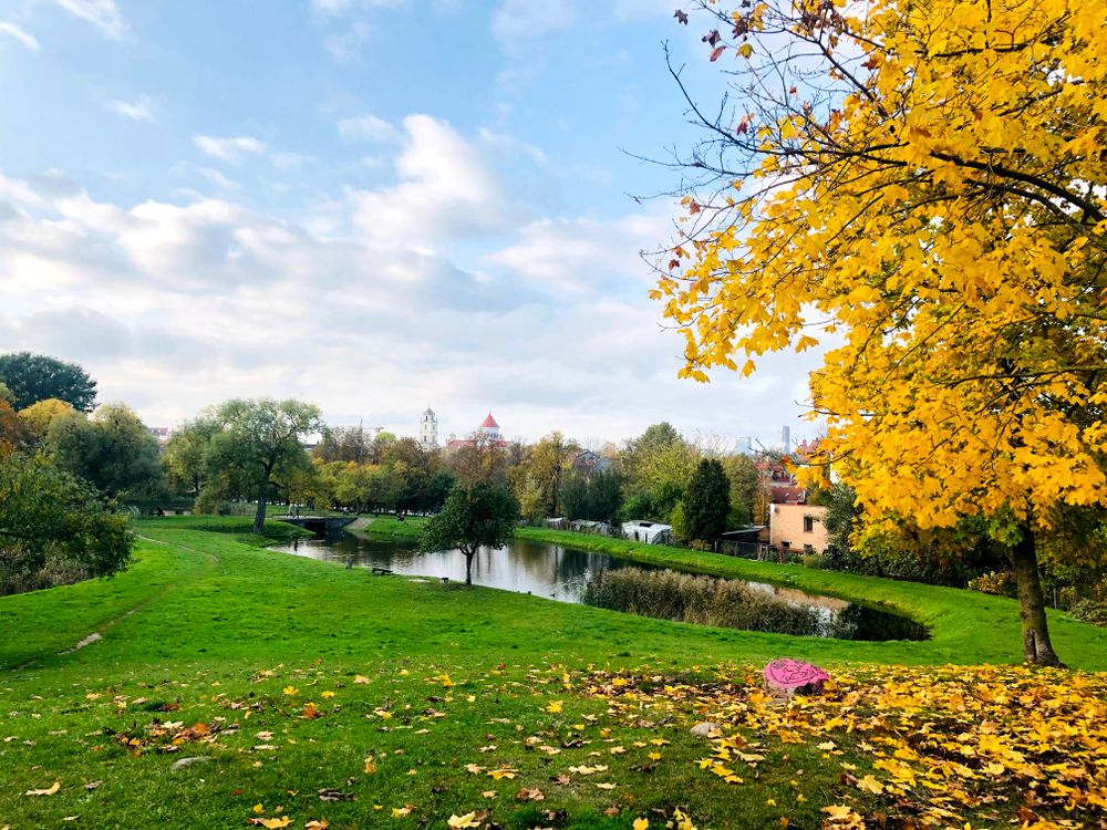 Kūdrų parkas (Misionierių sodai) #5