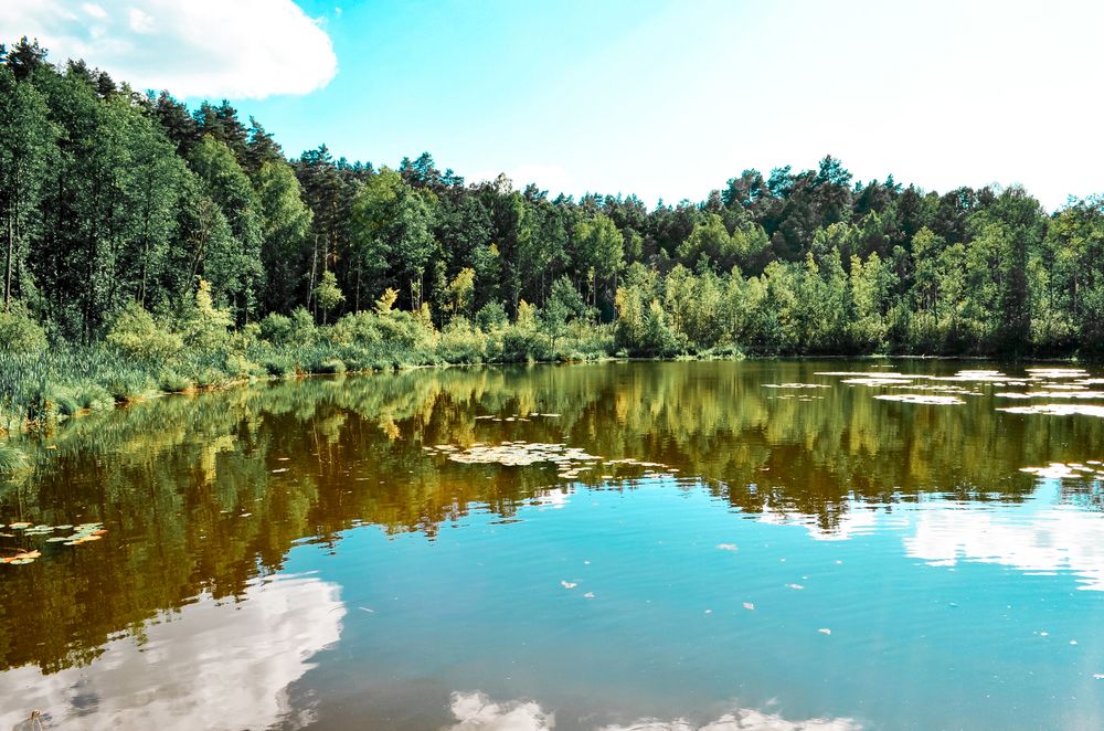 Mergelių akys #3