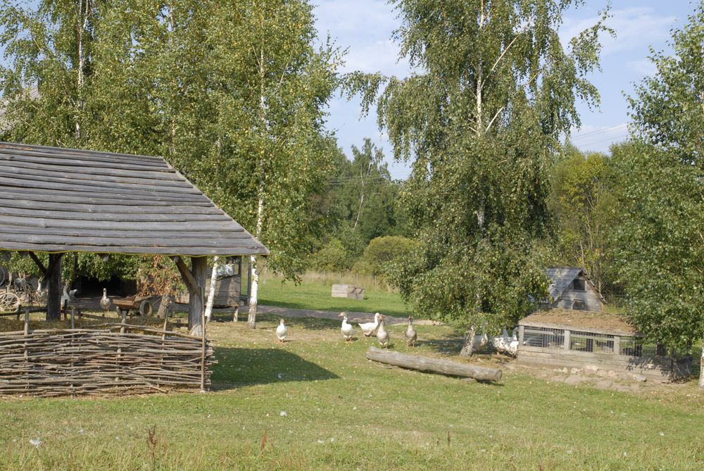 Paukščių kaimas