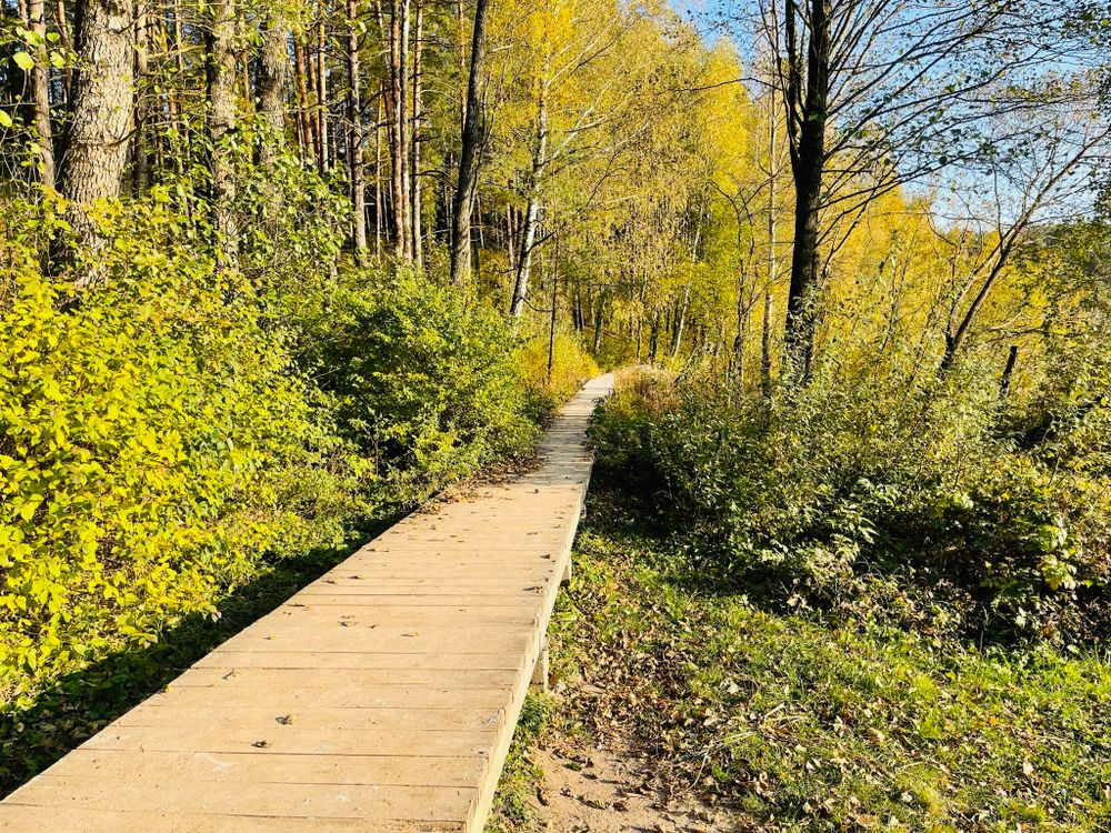 Takas aplink Gėlos ežerą #3
