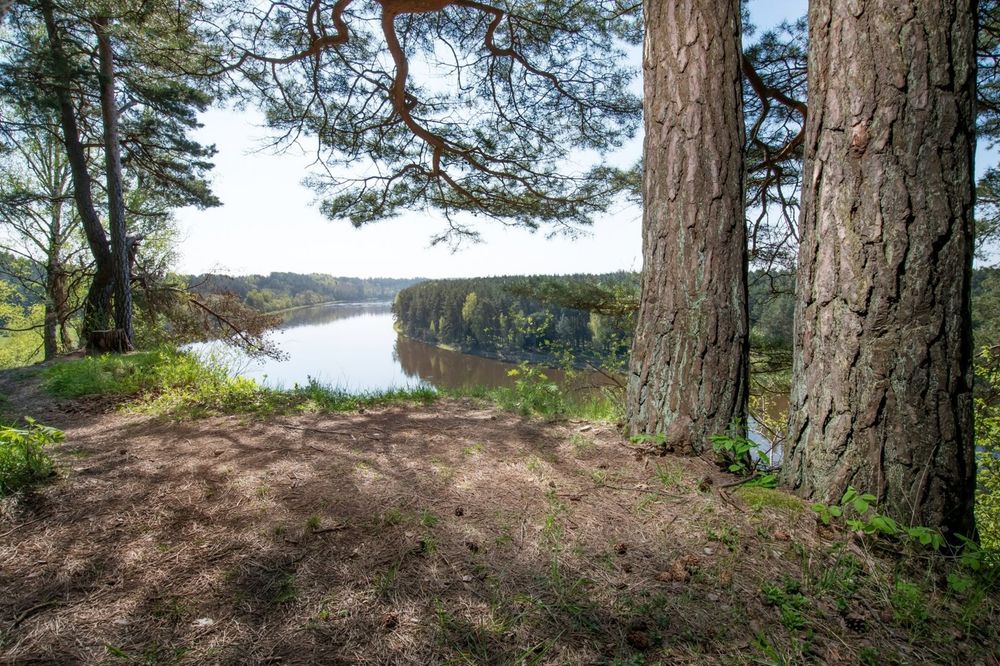 Škėvonių atodanga #4