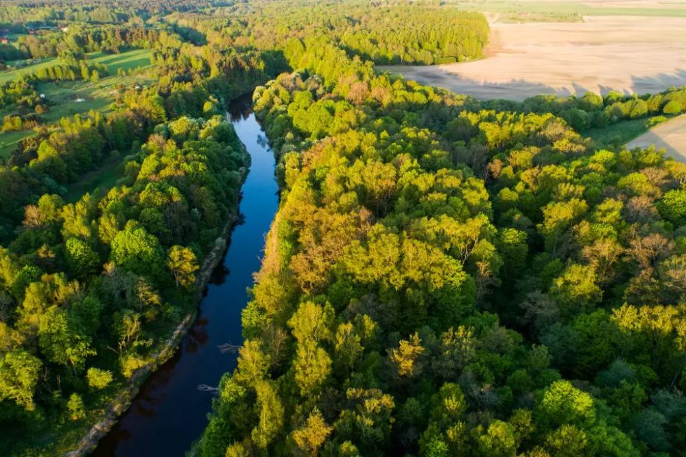 Dovilų piliakalnis