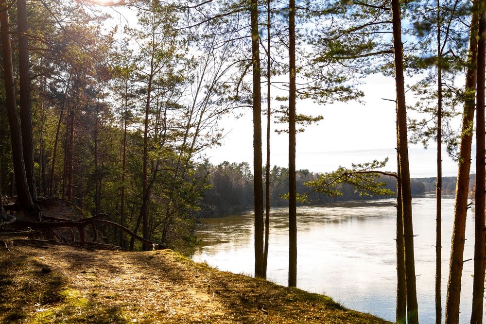 Druskininkų kultūros ir poilsio parkas