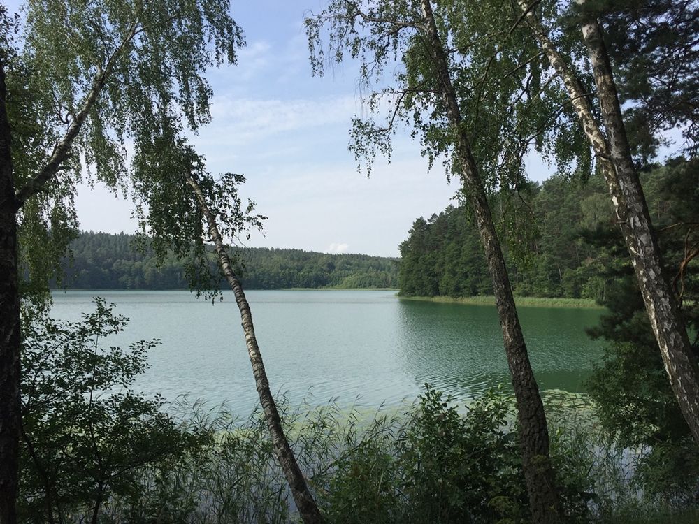 Žaliasis pažintinis pėsčiųjų takas
