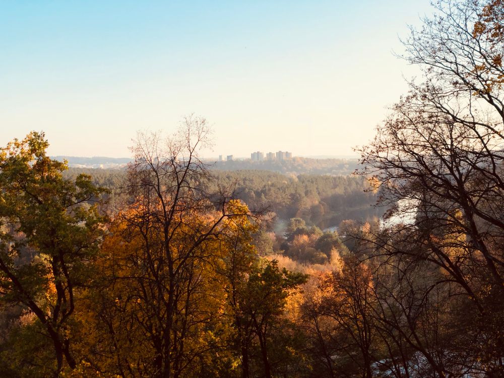 Apžvalgos aikštelė Verkių dvarvietėje #3