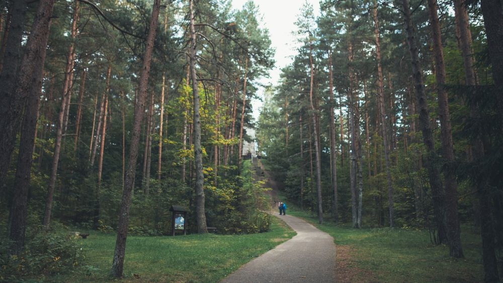 Laimės žiburys #3