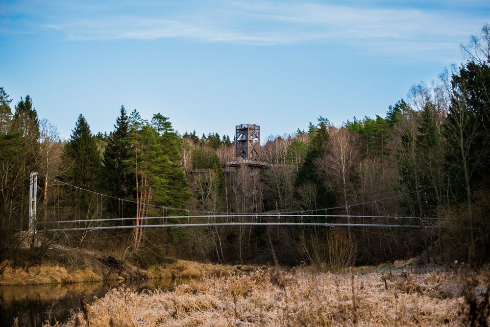 Lynų tiltas #2