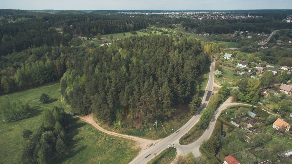 Staviškių piliakalnis #2