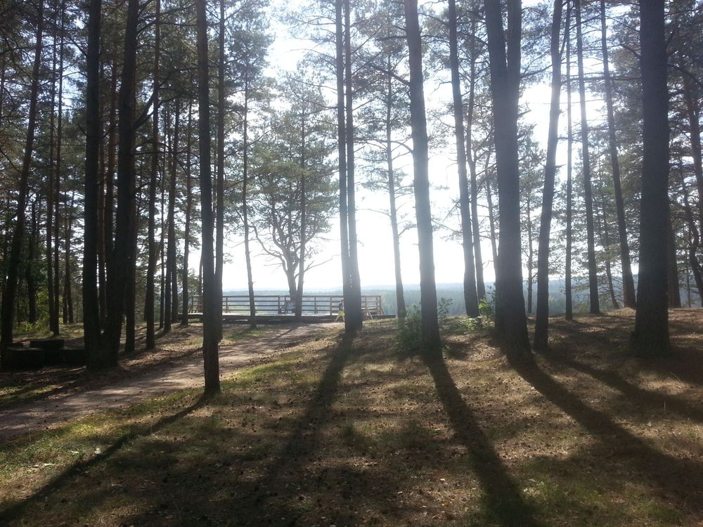 Baltojo kalno pažintinis takas #3