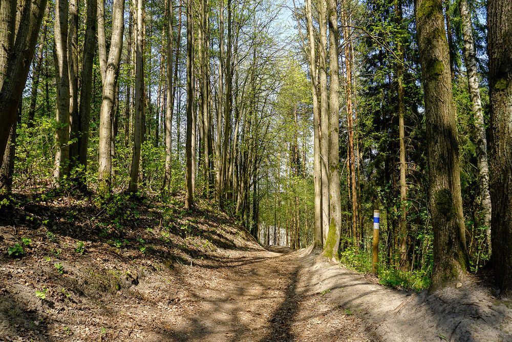 Ribiškių pažintinis takas #2