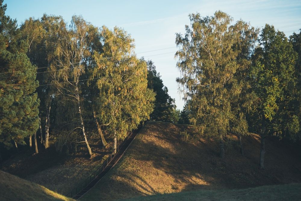Narkūnų piliakalnis #4