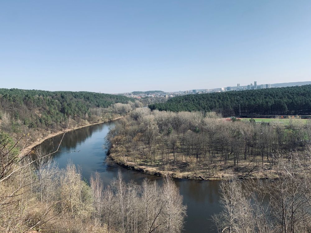 Plikakalnio atodangos apžvalgos aikštelė (Lazdynų regykla) #5