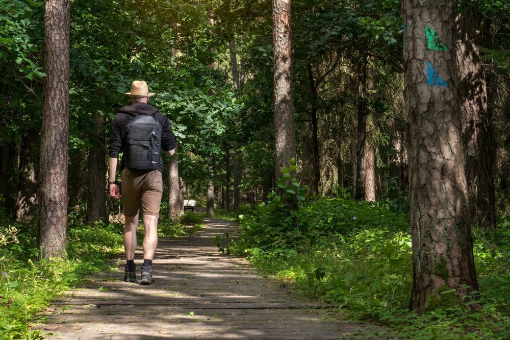 Kulautuvos pėsčiųjų takai #5