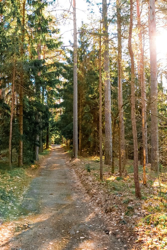 Raigardo slėnis #2