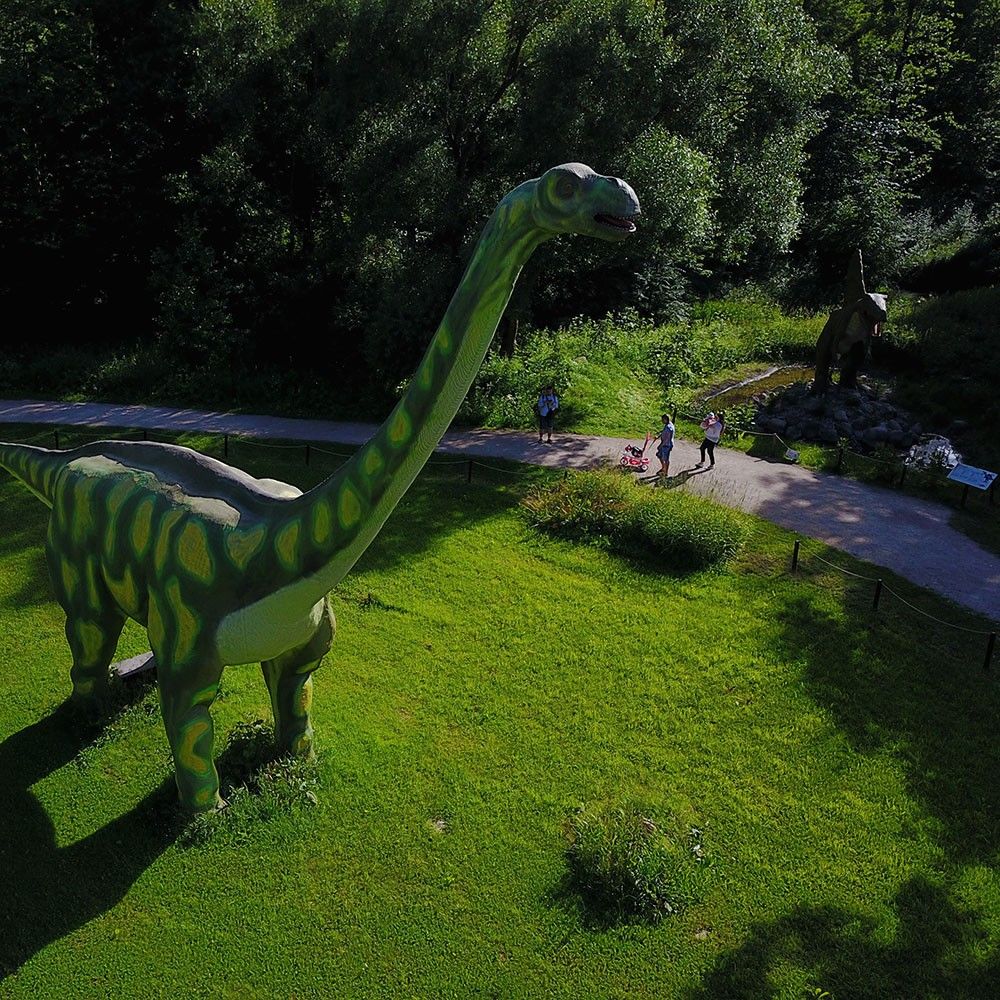 Dino parkas Radailiai #2