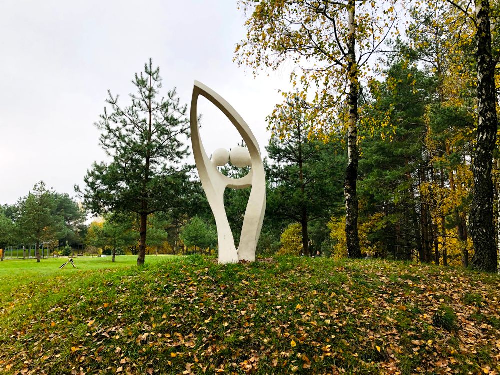 Ribiškių - Misiūnų (Pavilnių regioninio parko) regykla #5
