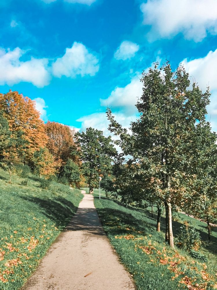 Gargždų parkas #3