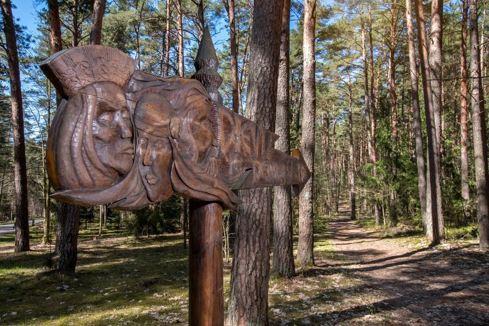 Kulautuvos pėsčiųjų takai #4