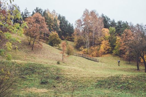 Kučkuriškių piliakalnis (Barsukynės kalnas)