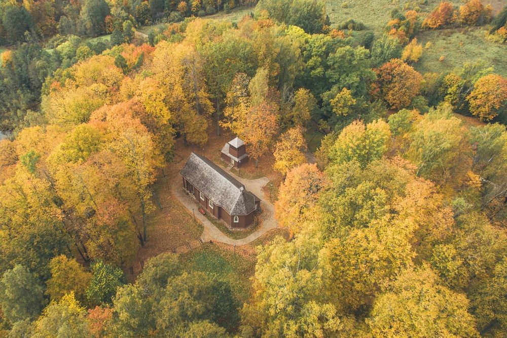 Stelmužės dvarvietė