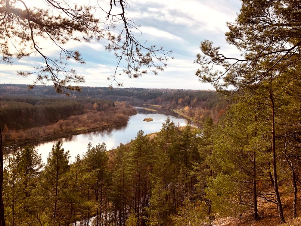 Paneriškių regykla #2