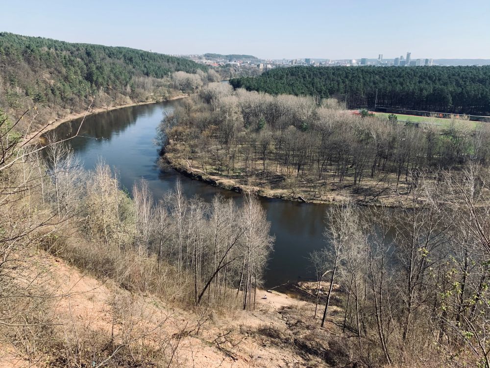 Plikakalnio atodangos apžvalgos aikštelė (Lazdynų regykla) #2