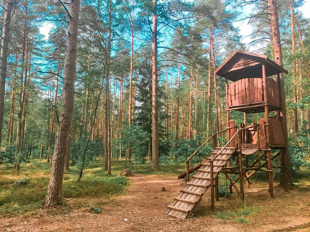 Sakiškių parkelis