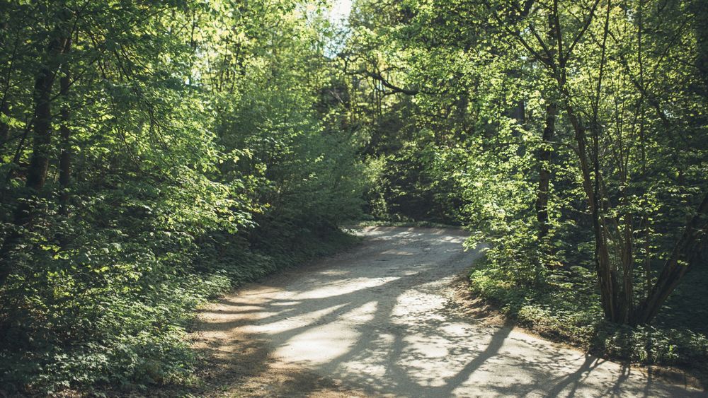 Tuputiškių serpantinas #3