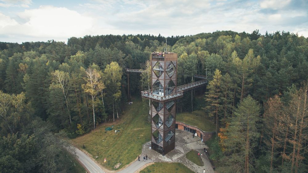 Medžių lajų takas