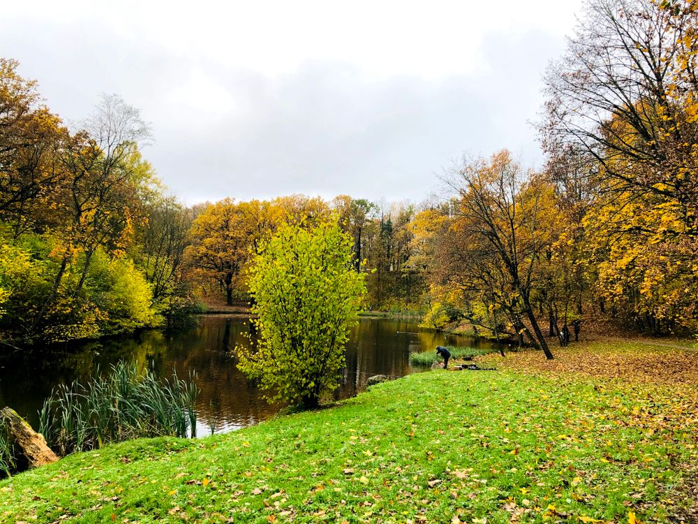 Markučių parkas #4