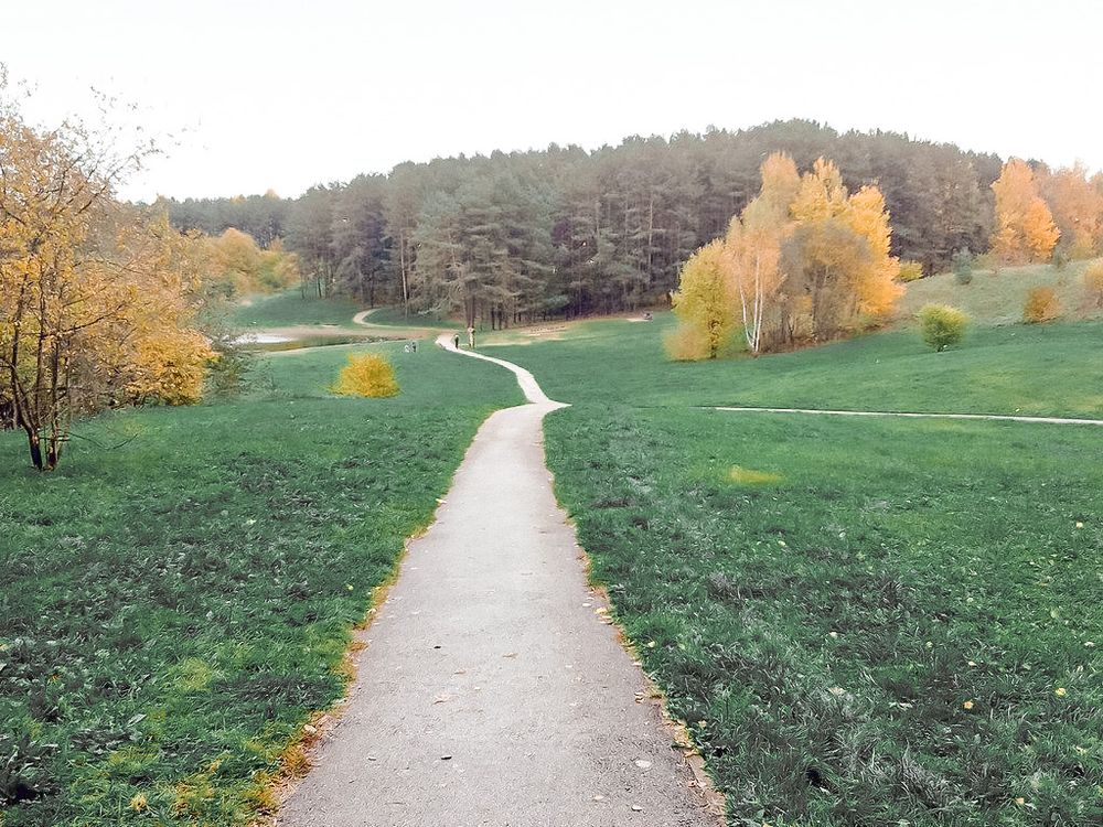 Šeškinės ozas