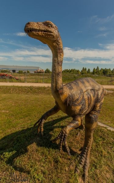 Dino pramogų parkas #3
