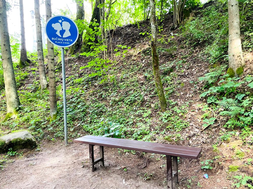 Bučinių vieta #3