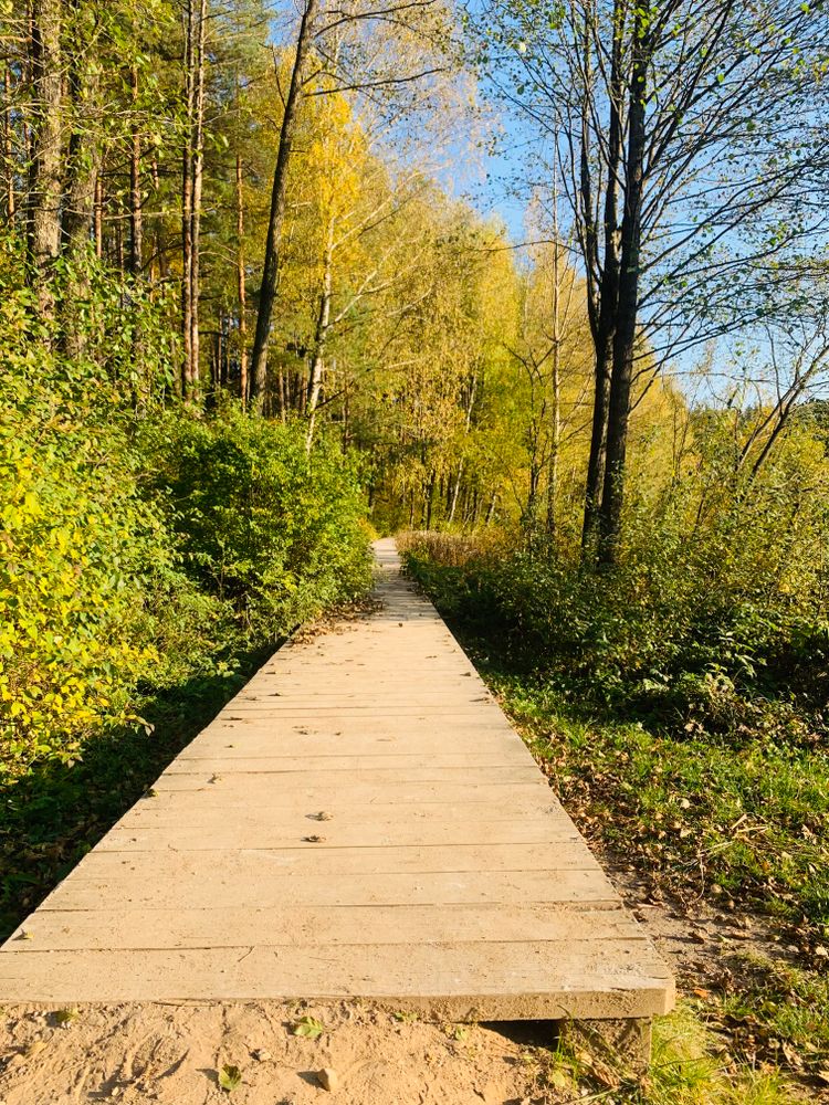 Takas aplink Gėlos ežerą #5