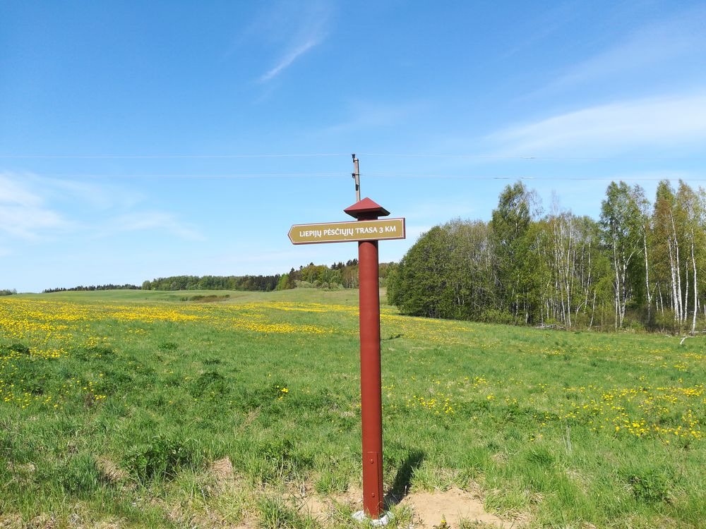 Liepijų pėsčiųjų trasa #2