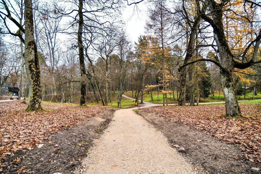 Trakų Vokės dvaras #2