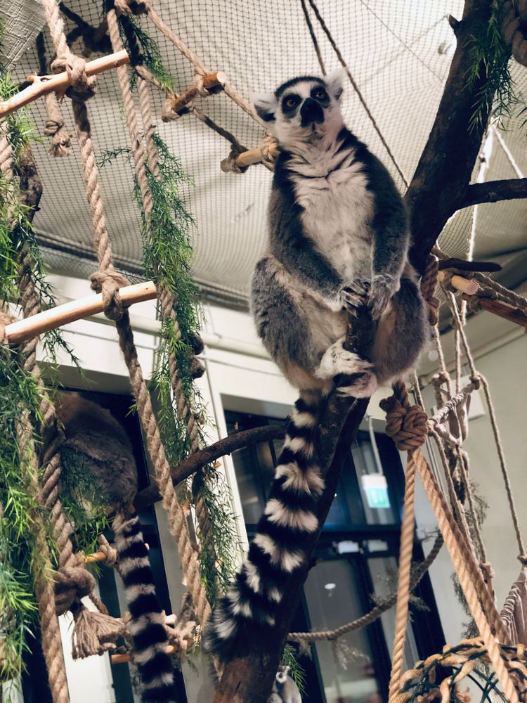 Zoopark Vilnius #5