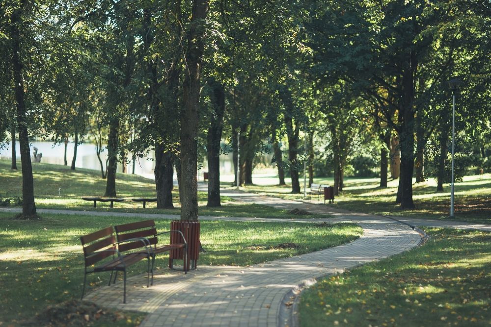 Molėtų skulptūrų parkas #5