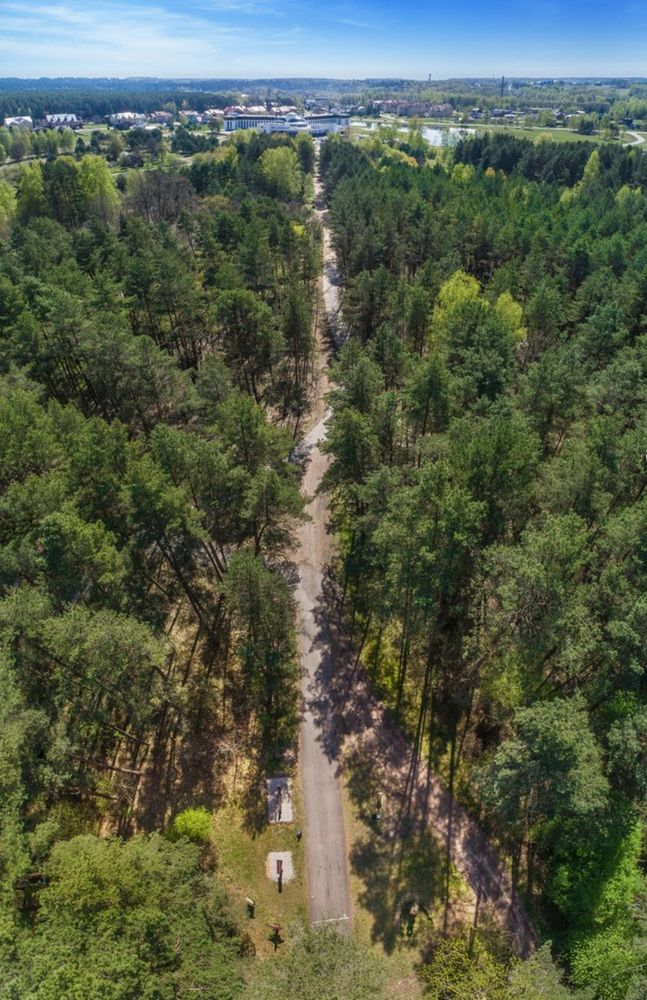 Žvėrinčiaus miško takas