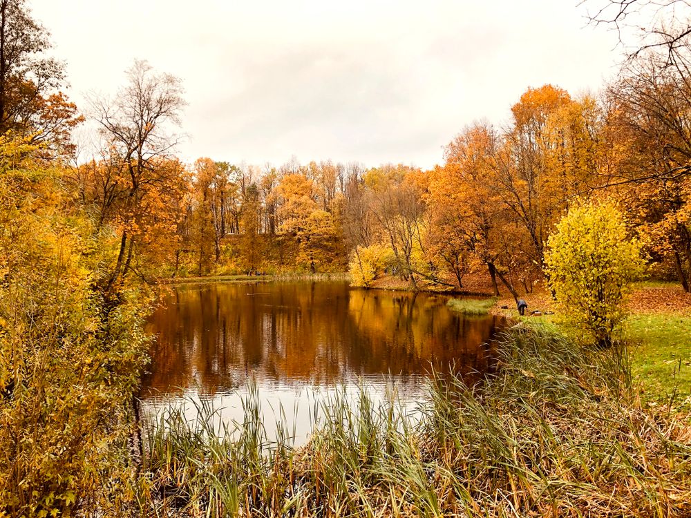 Markučių parkas