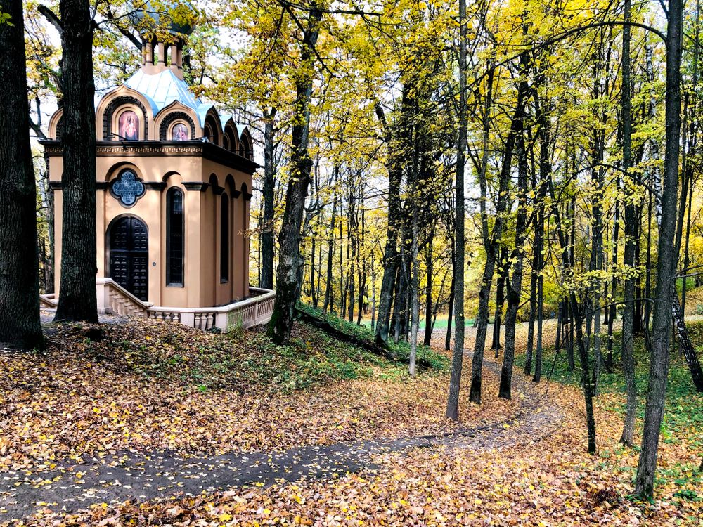 Markučių parkas #2