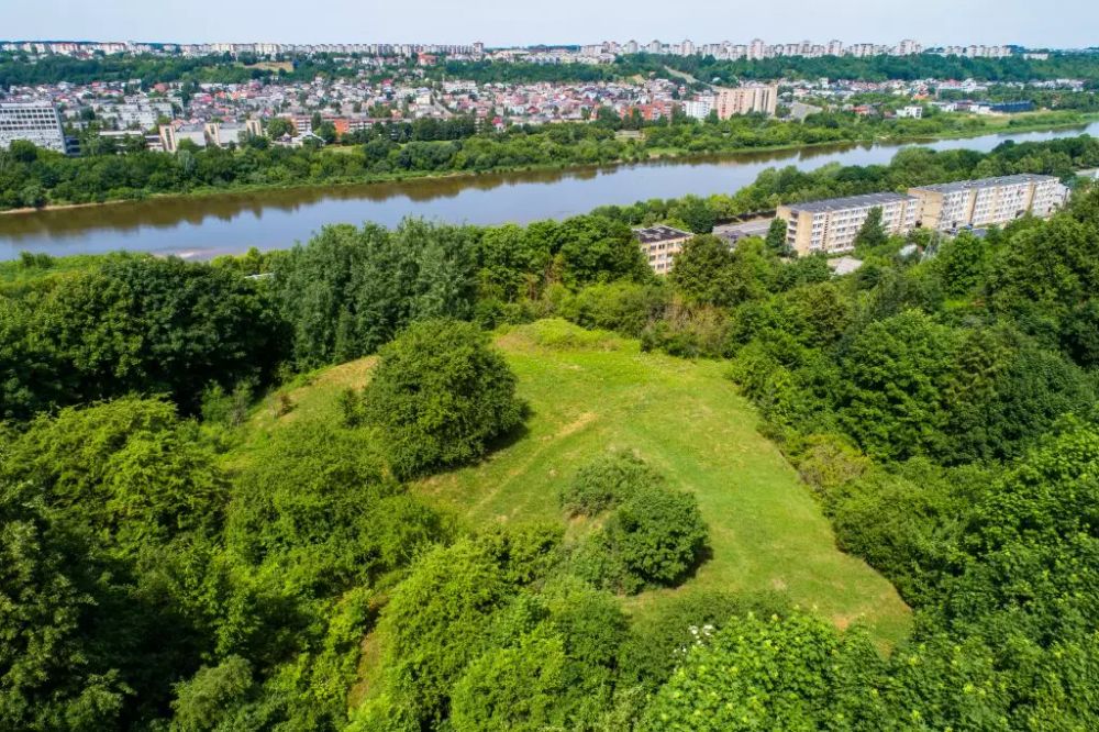 Eigulių piliakalnis